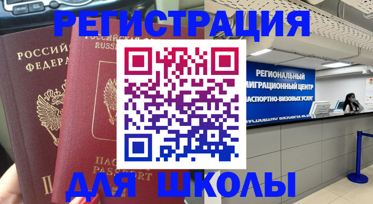 временная регистрация для всех в Светлогорске